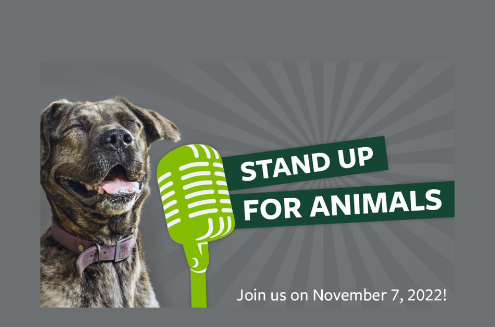 Stand Up for Animals